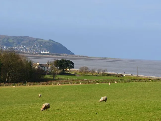 Blue Anchor Seaview