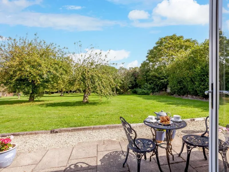Orchard Farm Wedmore - Hangy - Down
